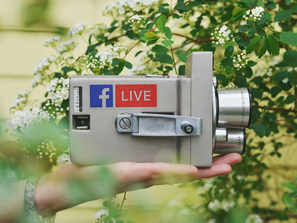 person holding gray video camera near green leaf plant during daytime