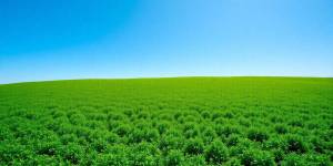 Lush green landscape under bright blue skies.